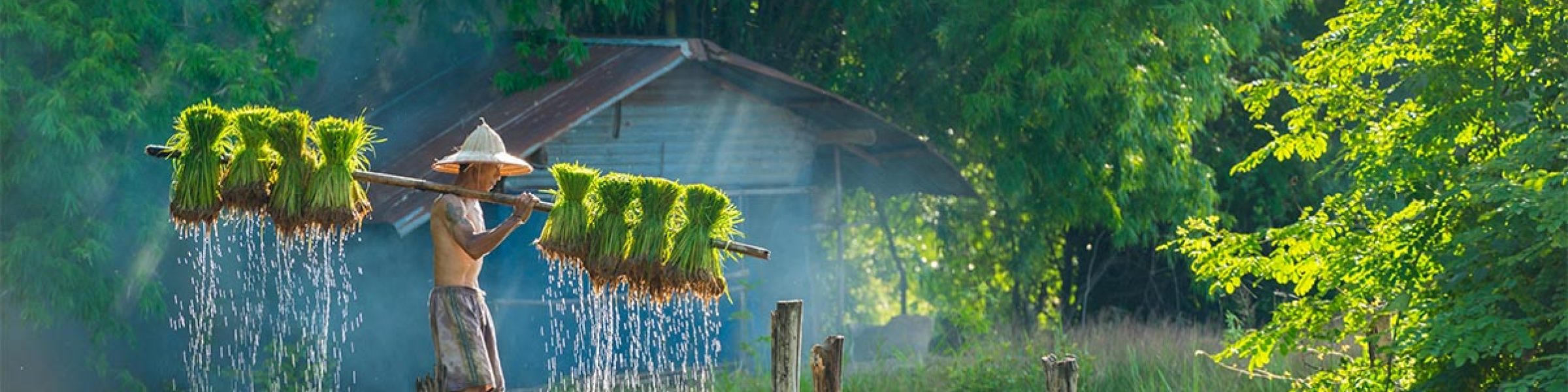 Farmer-Sakonnakhon-Thailand