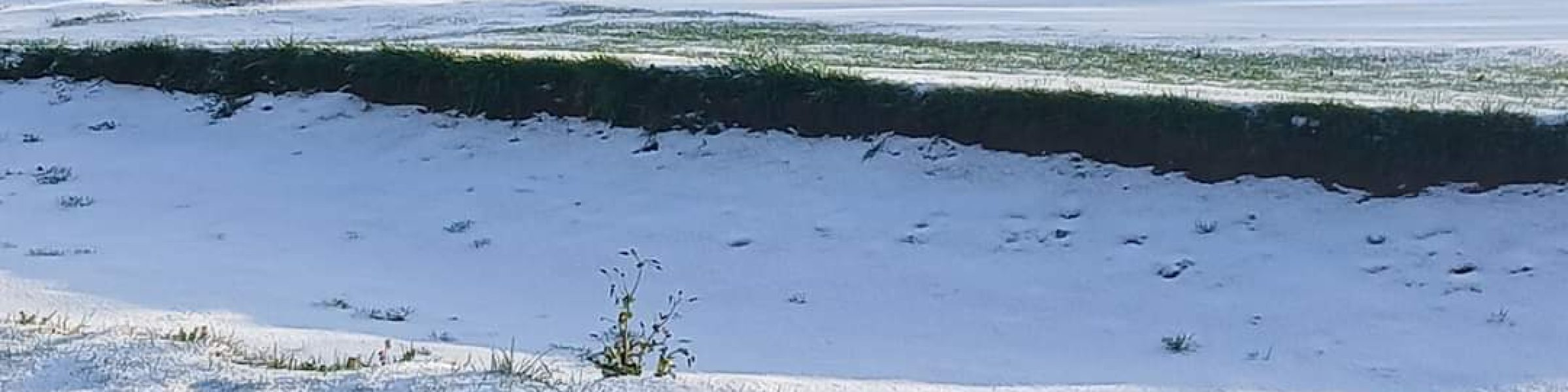 Scottish course in the snow