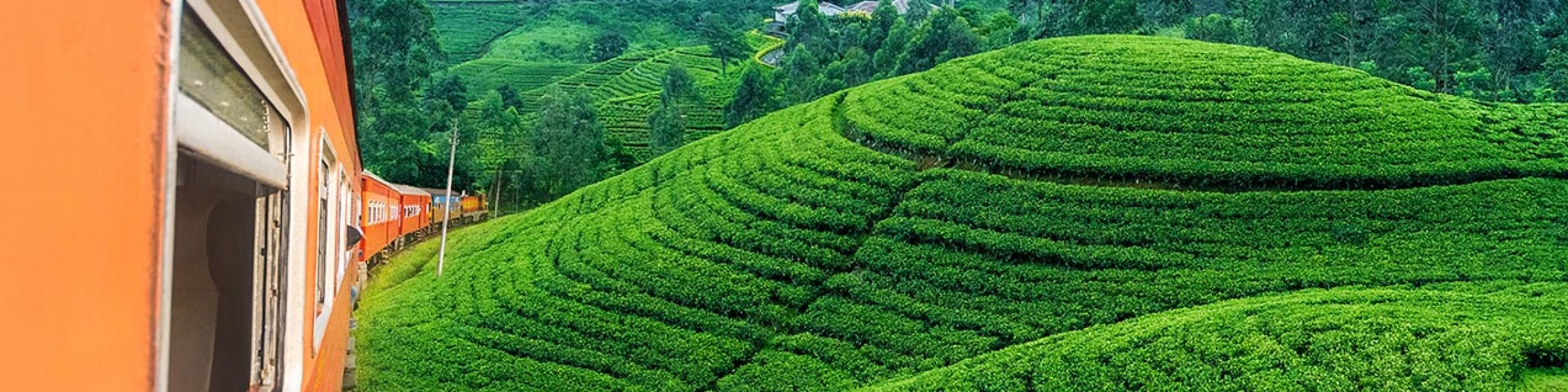 Train-travels-at-Hatton-Sri-Lanka